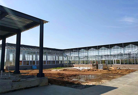 黑龙江玻璃温室工程
